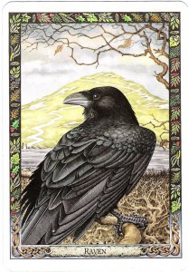 scan0025-1-heathers-raven